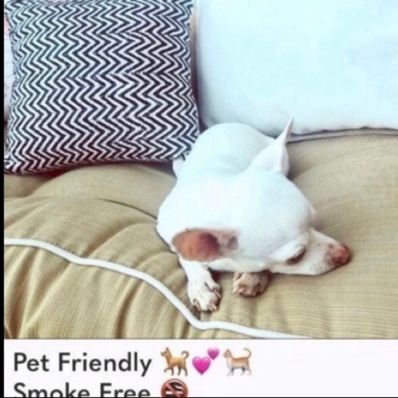 AGNES & Dora 💕 Bates Cotton Dress in a beachy Blue NWT - Picture 8 of 8